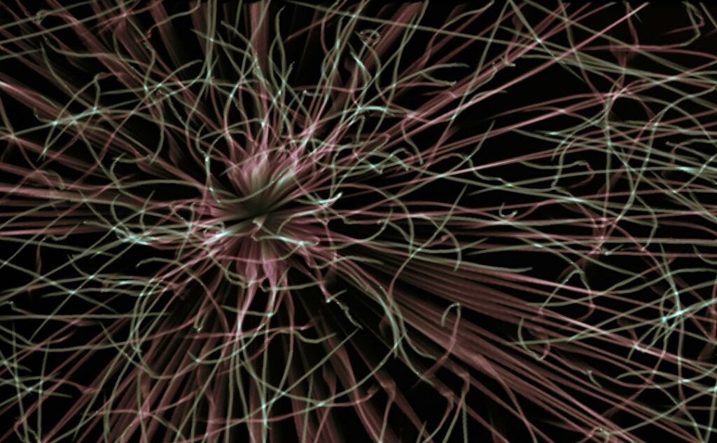 Abstract image of interconnected glowing blue and purple lines on a dark background, representing the complex, AI-orchestr...